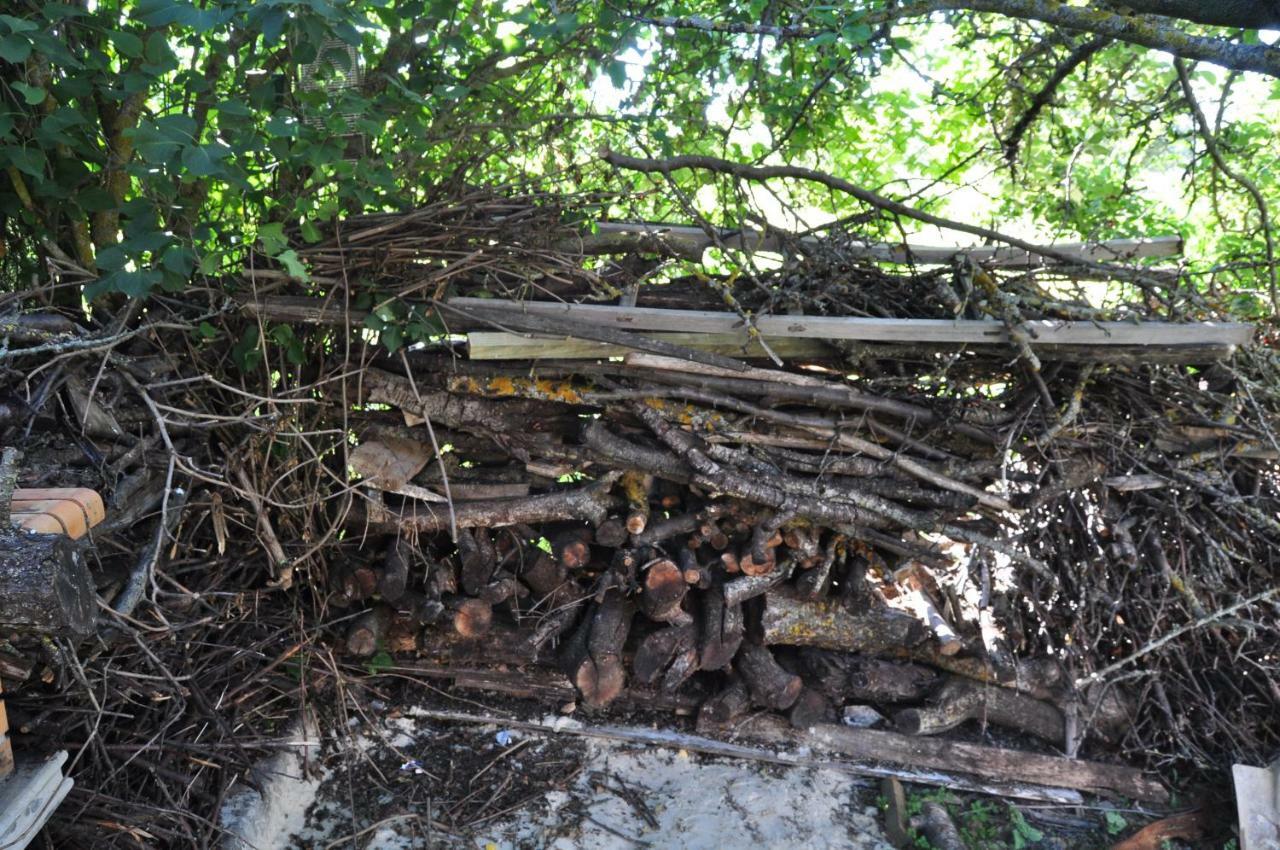 Villa El Jardin De Manuela Santibanez del Val Esterno foto