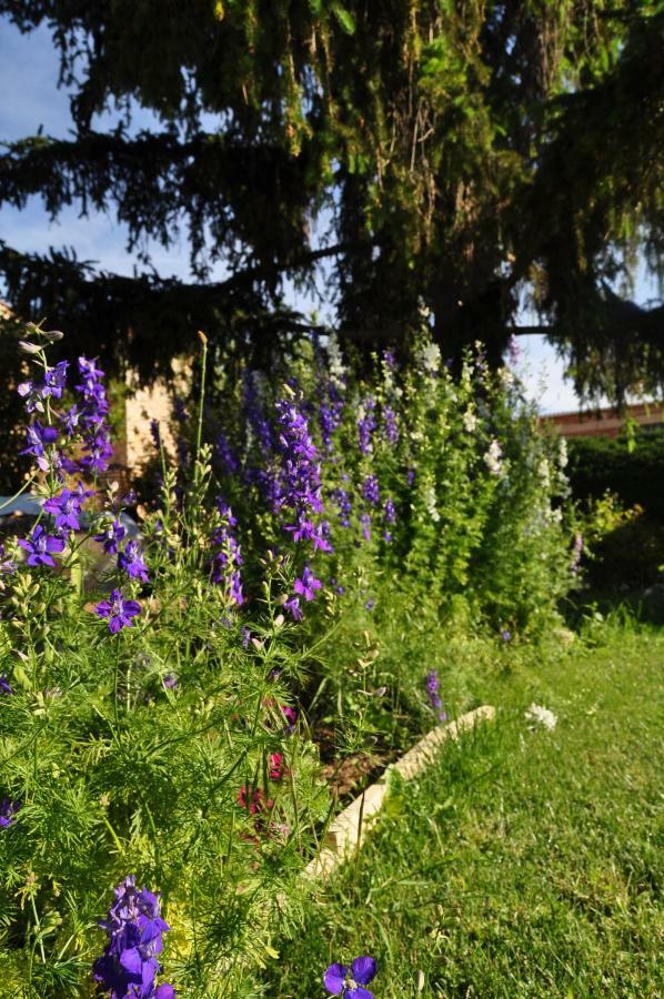 Villa El Jardin De Manuela Santibanez del Val Esterno foto
